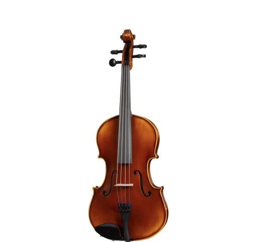 Violin D Z Strad LC101 con estuche, reposacabezas, arco y resina (4/4 - Tamano completo)