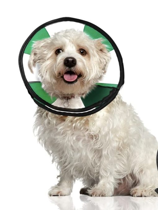 ZenPet ProCone Teal Collar de recuperacion suave para mascotas para perros y gatos - Comodo collar ajustable para un ajuste seguro y personalizado - Facil para que las mascotas coman y beban - Funciona con el collar de tu mascota (Pequeno)