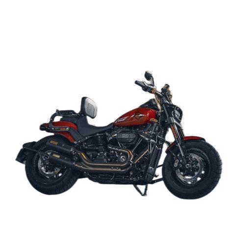 Componente de respaldo de asiento ajustable para conductor/pasajero M Maintenanse: Monturas fijas (Indian Scout Bobber (Cromo)) - Imagen 4