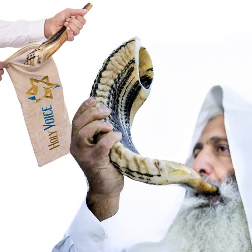 Shofar de Carnero Cachado Cachado de Israel Kosher Hecho a Mano ? 22"-24" Cuerno Musical con Bolsa de Shofar ? Regalos Judios Decorativos y Funcionales para Mujeres y Hombres por Holy Voice, Medio Pulido