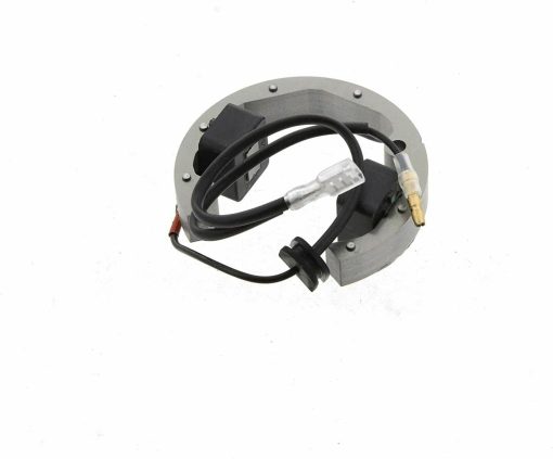 Ensamblaje del Estator Nuevo OEM de KTM 50 SX SXS Mini JR SR 2002-2018 45139004000