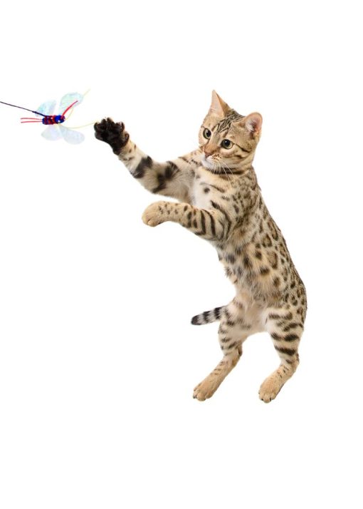 RompiCatz Serie Recolector de Criaturas Teaser String y Juguete para Gatos Interactivo, Cattimoth - Imagen 2