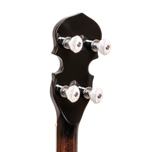 Banjo Gold Tone BG-150F - Imagen 6