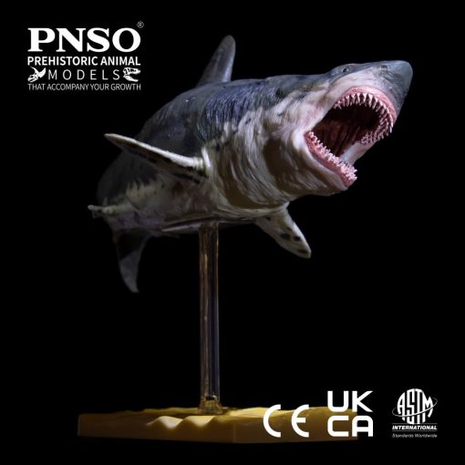 Patton el Megalodon (Gran Tiburon Blanco) 13" - Imagen 5