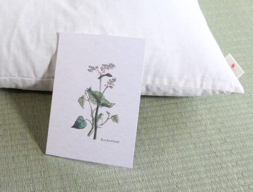 Set de Almohada Ajustable de Trigo Sarraceno y Dos Fundas Tipo Sobre, Tela Organica (Grande) - Imagen 9