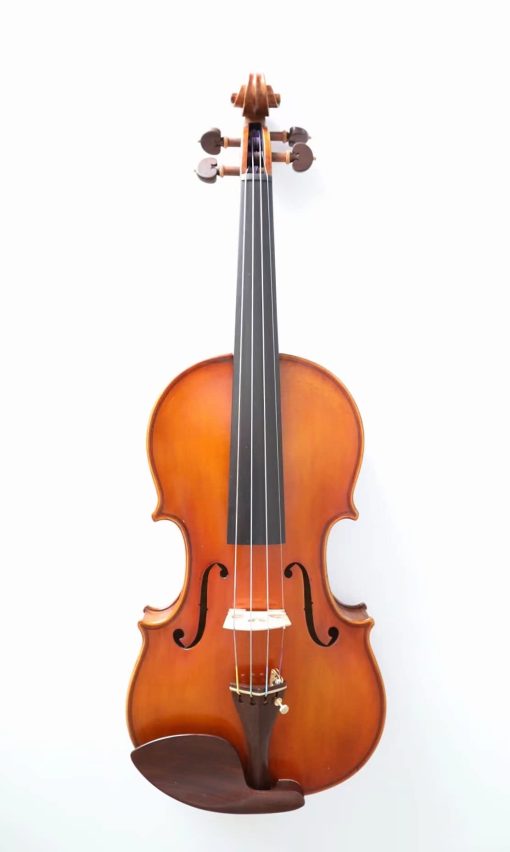 Violin Custom Antique Guarneri Del Gesu 1743 Cannone (4/4 - Tamano Completo)