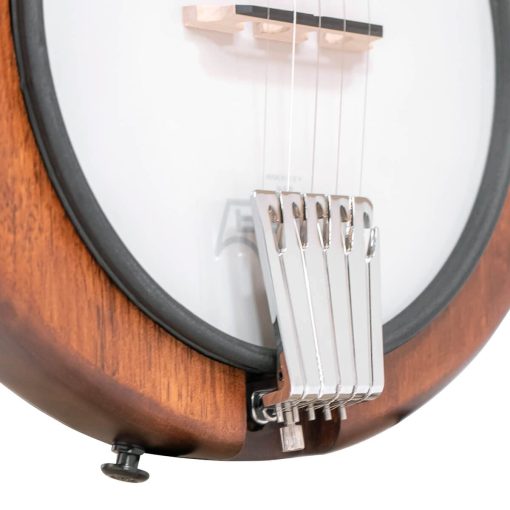 Banjo de 5 Cuerdas Dorado (EB-5) - Imagen 3
