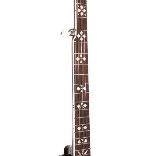 Banjo Gold Tone BG-150F - Imagen 4