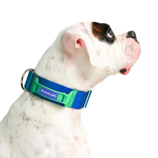 Collar para Perros Tactico Spark Paws - Collar de Calidad Premium, Diseno Robusto y Duradero para Razas Grandes y Fuertes - Pitbulls, Boxers - Ola de Lima - Imagen 3
