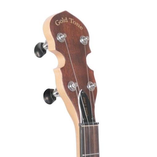 Banjo de 5 Cuerdas Dorado (EB-5) - Imagen 4