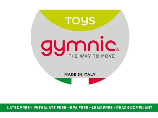 Caballo Saltarin Inflable Gymnic Rody Azul - Imagen 4