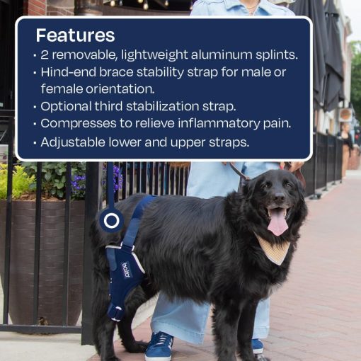 Balto Jump Brace - Rodillera para Perros - Brace con Ferulas de Aluminio - Soporte Pre/Post Operatorio Ayuda a Prevenir Nuevas Lesiones - Pierna Derecha, Grande - Imagen 7