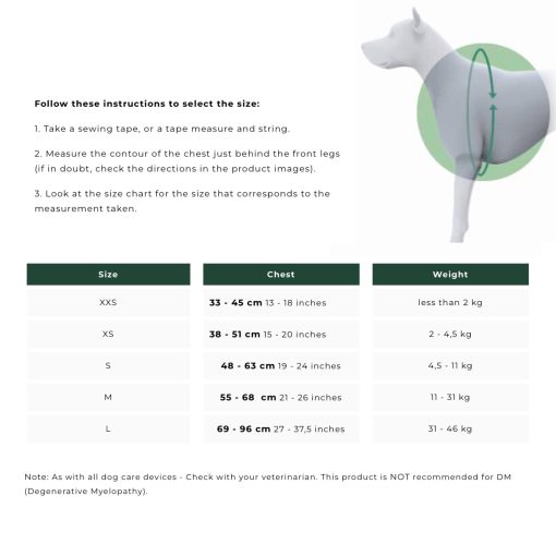 Ortocanis - Soporte de cadera para perros con displasia de cadera u osteoartritis (L) - Imagen 4