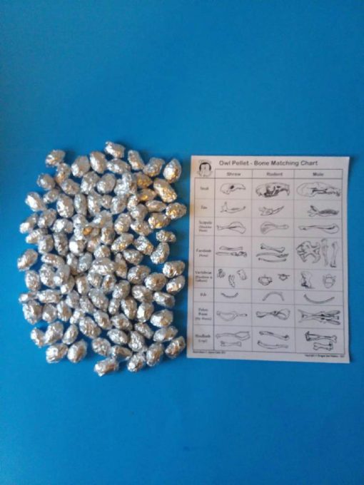 Paquete de 100 Pequenos Pellets de Buho (1+ pulgada) ?Ensene hasta Cuatro Clases!
