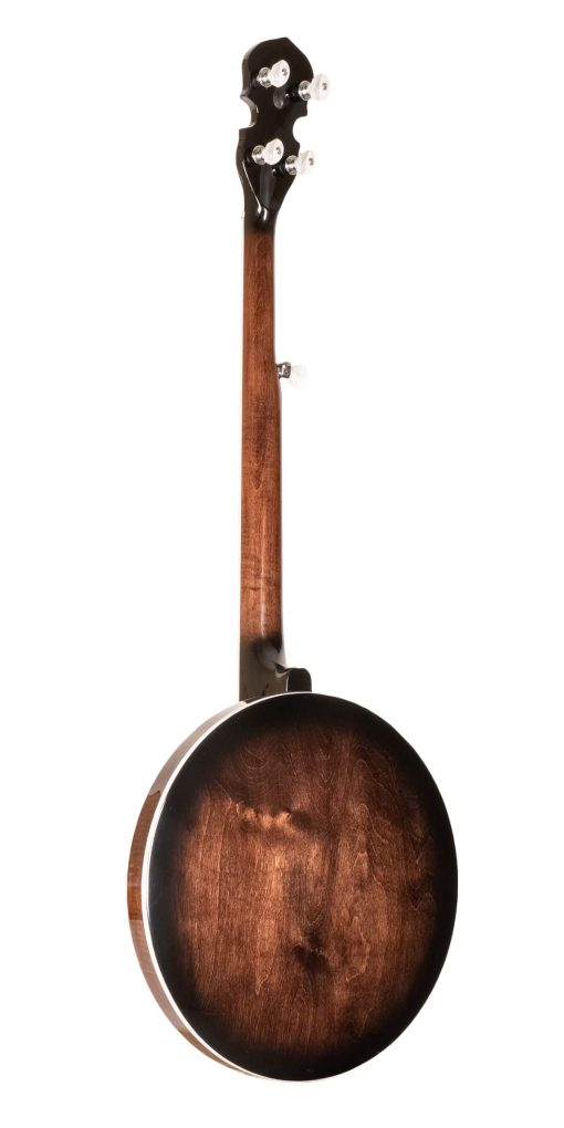 Banjo Gold Tone BG-150F - Imagen 2
