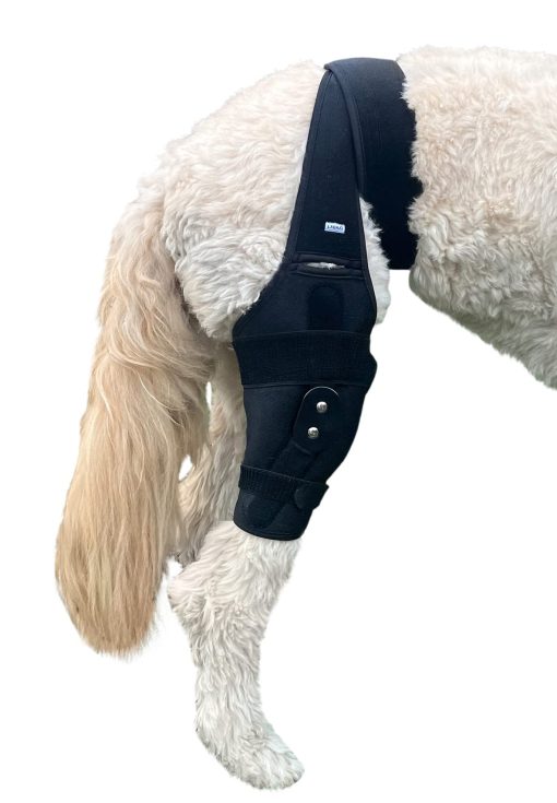 Venda de Rodilla para Perro Canino Labra, Ferula Metalica Articulada, Soporte Flexible para K9 ACL, CCL, Rotula Luxada, Espolon de Ligamento Cruzado en la Pierna Trasera, Posterior, Trasera (Extra Pequeno)