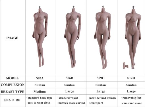 Cuerpo femenino flexible super escalable en escala 1/6 de HiPlay TBLeague, tipo de cuerpo estandar, figuras de accion coleccionables en miniatura (Piel bronceada, S06B) - Imagen 4