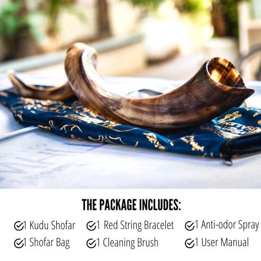 Conjunto de Shofar Israeli ProShofar, Cuerno de Kudu Natural, Shofar Kosher Tradicional Yemenita Instrumento Musical para Ceremonias Espirituales Judias y Sermones Religiosos, Hecho en Israel - Imagen 3