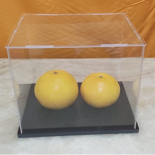 Clear Acrylic Display Case Box - Vitrina de Acrilico Transparente para Coleccionables con Base Gruesa - para Mostrar Figuras de Accion y Organizar Juguetes en Casa (20x8x10 pulgadas / 50x20x25 cm)