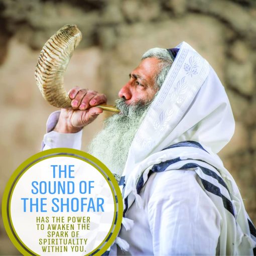 Shofar de Carnero Cachado Cachado de Israel Kosher Hecho a Mano ? 22"-24" Cuerno Musical con Bolsa de Shofar ? Regalos Judios Decorativos y Funcionales para Mujeres y Hombres por Holy Voice, Medio Pulido - Imagen 5