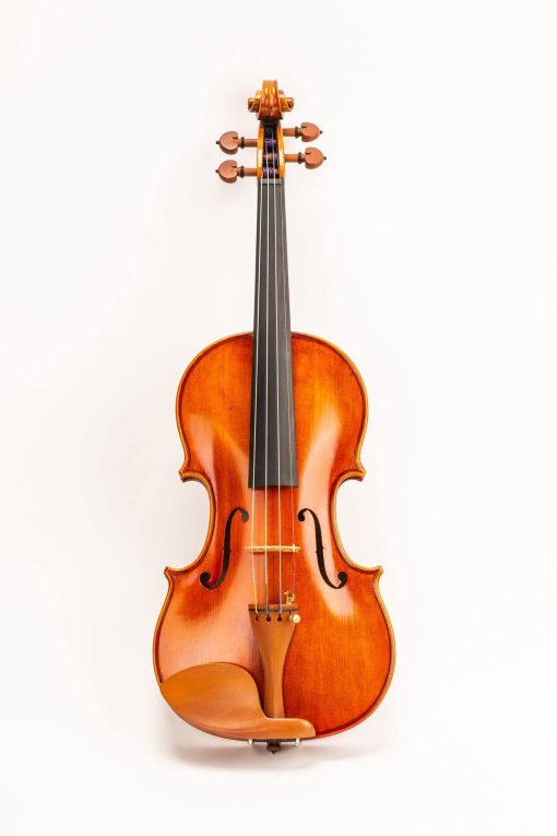 Violin D Z Strad Modelo 220 3/4 con cuerdas Dominant, arco, estuche, resina y reposo para hombro - Tono Claro Abierto