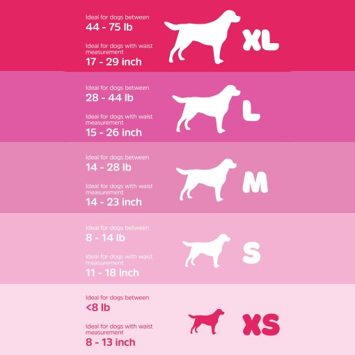 Panales Desechables UltraDry para Perros WizSmart | Panales para Perros Hembra | Ultra Absorbentes y Comodos (Extra Grande, 12) - Imagen 4