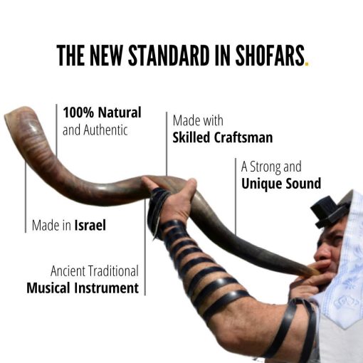 Conjunto de Shofar Israeli ProShofar, Cuerno de Kudu Natural, Shofar Kosher Tradicional Yemenita Instrumento Musical para Ceremonias Espirituales Judias y Sermones Religiosos, Hecho en Israel - Imagen 2