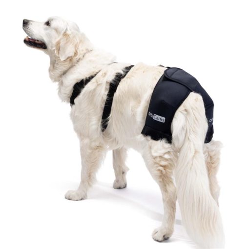 Ortocanis - Soporte de cadera para perros con displasia de cadera u osteoartritis (L) - Imagen 2