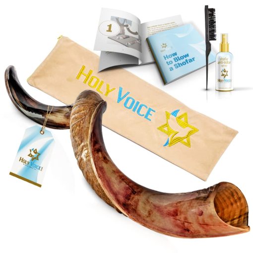 Shofar de Kudu Kosher de Israel - Tradicional Cuerno Yemeni Semi Pulido que Incluye Bolsa de Transporte, Cepillo, Spray Antiolores y Guia de Soplido - Instrumento Musical Sagrado Facil de Tocar (41"-42")