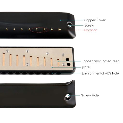 Armonica JDR clave de G Ninja, Armonica Blues Mini Harp 10 Agujeros 20 Tonos Musical con Estuche para Adultos Ninos Principiantes Profesor Estudiantes Profesionales Musico Folk Rock Diatonico Estandar organo de Boca Regalo Negro - Imagen 2