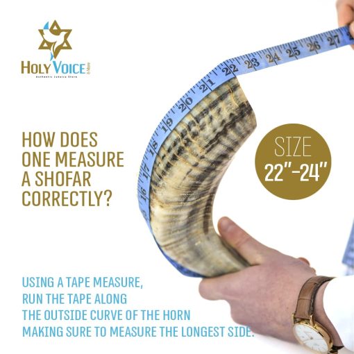 Shofar de Carnero Cachado Cachado de Israel Kosher Hecho a Mano ? 22"-24" Cuerno Musical con Bolsa de Shofar ? Regalos Judios Decorativos y Funcionales para Mujeres y Hombres por Holy Voice, Medio Pulido - Imagen 6
