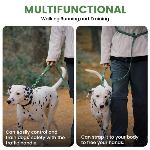 Correa de cuero para perros de 6 pies Super Ligera de Grado Militar Resistente para Perros Grandes, Medianos y Pequenos Entrenamiento y Paseo (Verde, 3/5in) - Imagen 4
