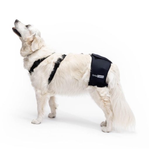 Ortocanis - Soporte de cadera para perros con displasia de cadera u osteoartritis (L)