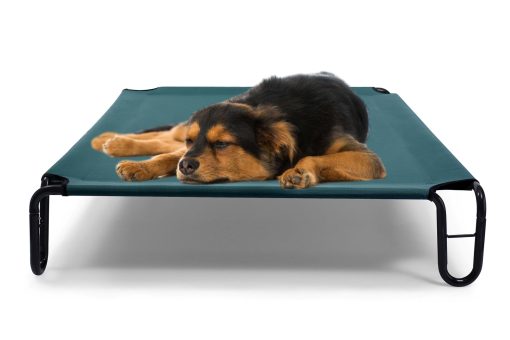 Cama Elevada para Perros BestVida, 35 x 28 x 8 pulgadas (Pequena, Verde)