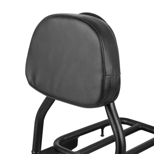 Respaldo de Sillin Trasero para Motocicleta Worldmotop para Suzuki Volusia VL800 2001-2011 Boulevard C50 2005-2011 Boulevard M50 2005-2008 Respaldo Desmontable (para C50-B) - Imagen 6