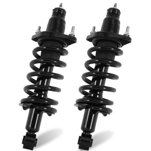 Conjunto de Amortiguadores de Bobina Trasero Everestway 172497L 172497R Compatible con Honda CR-V 2007 2008 2009 2010 2011 (Set de 2)