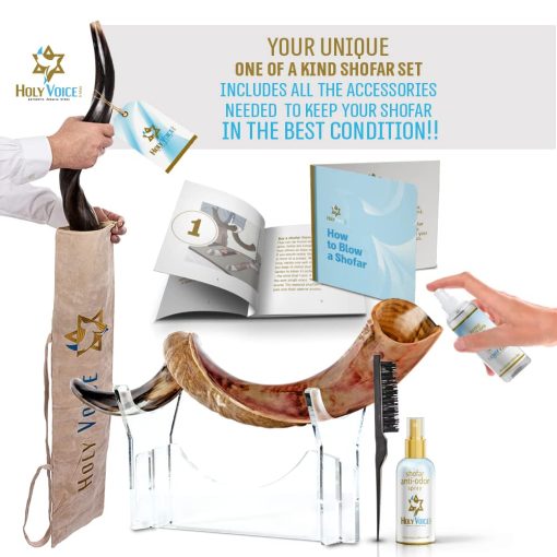 Shofar de Kudu Kosher de Israel - Tradicional Cuerno Yemeni Semi Pulido que Incluye Bolsa de Transporte, Cepillo, Spray Antiolores y Guia de Soplido - Instrumento Musical Sagrado Facil de Tocar (41"-42") - Imagen 3
