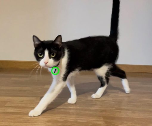 Compatible con Collares de Identificacion por Radiofrecuencia para Mascotas Closer Pets Pet Mate Cat Mate Microchip Tiny 310 para Gateras Selectivas 305 306 - Imagen 2