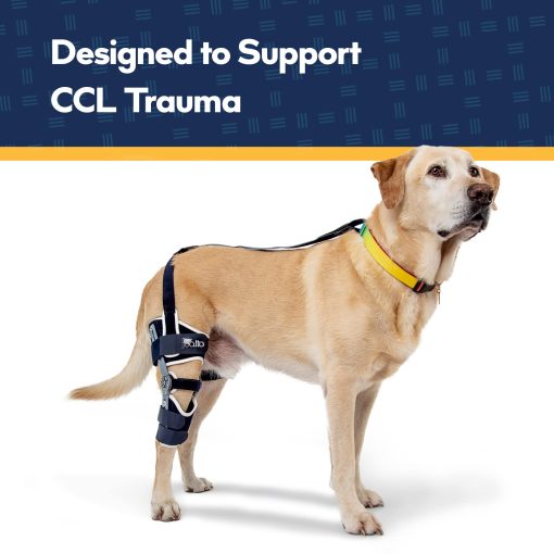 Ferula Ajustable Con Bisagras para Rodilla de Perro Balto Ligatek - Ferula para CCL en Perros - Rango Variable de Movimiento o Inmovilizacion Completa - Soporte Postquirurgico o Alternativa Quirurgica - Pata Derecha, Tamano Mediano - Imagen 3