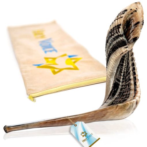Shofar de Carnero Cachado Cachado de Israel Kosher Hecho a Mano ? 22"-24" Cuerno Musical con Bolsa de Shofar ? Regalos Judios Decorativos y Funcionales para Mujeres y Hombres por Holy Voice, Medio Pulido - Imagen 2