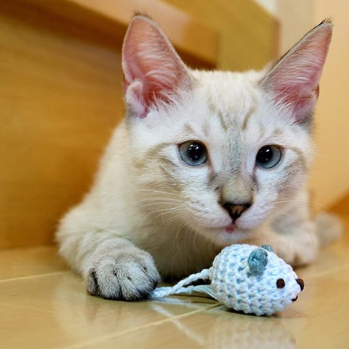 Juguetes de Peluche para Gatos necono - Raton tejido amiami-nezumi & Pelota - Ultraligeros Hechos a Mano - Imagen 4