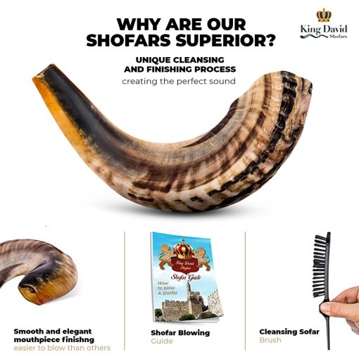 Shofar Horn Instrument - RAM Shofar Angels Instrumento Musical - Regalo de Cuerno de Israel - Shofar Judio y Evangelico Kosher - Instrumento Sagrado Tradicional para Ceremonias Religiosas (20"-22") - Imagen 2