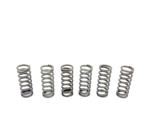 Kit de Placas de Embrague Resortes de Alta Resistencia Compatible con Honda CRF450X (2005-2017) - Imagen 4
