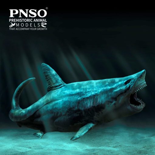 Patton el Megalodon (Gran Tiburon Blanco) 13" - Imagen 6
