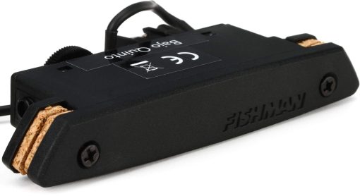 Pastilla de Sonido Fishman Rare Earth para Bajo Quinto