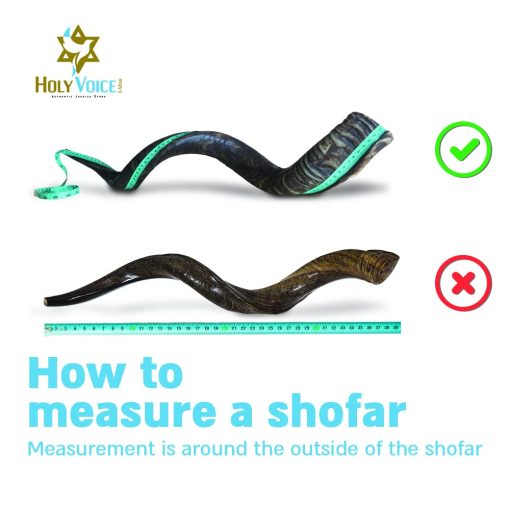 Shofar de Kudu Kosher de Israel - Tradicional Cuerno Yemeni Semi Pulido que Incluye Bolsa de Transporte, Cepillo, Spray Antiolores y Guia de Soplido - Instrumento Musical Sagrado Facil de Tocar (41"-42") - Imagen 4
