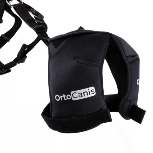 Ortocanis - Soporte de cadera para perros con displasia de cadera u osteoartritis (L) - Imagen 6