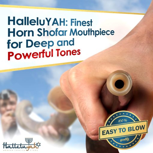 Shofar Kudu Original Kosher HalleluYAH Totalmente Pulido 35"-39" | De Israel - Imagen 5