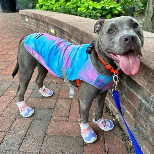 Zapatos para Perros Spark Paws Hot Pavement - Paquete de 4 protectores de pata para pavimento caliente, terreno aspero y espinas, diseno facil de usar para patas anchas - Rosa Morado - Imagen 4