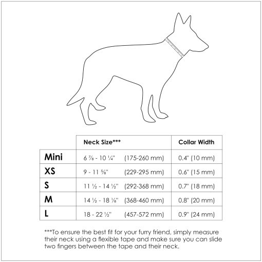 Collar para Perros NUVUQ a Prueba de Agua y Duradero, Comodo, Suave y Ligero Ajustable para Perros Activos (Tamano Mediano, Rosa Frambuesa) - Imagen 5